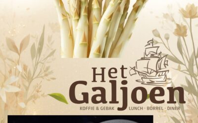 Hollandse asperges